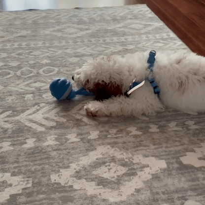 PlayBall™ – Interactieve Hondenspeelbal